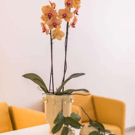 Le Residenze Di Don Nino Apartment Lecce