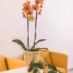 Le Residenze Di Don Nino Appartement Lecce